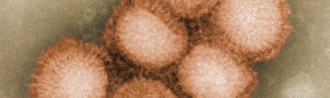 Reassortment potential in avian influenza viruses