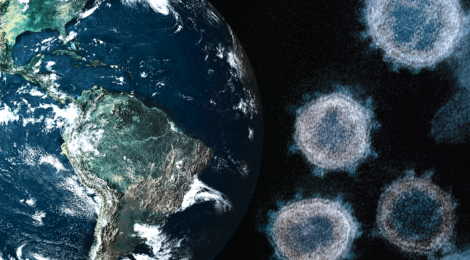 Interconnecting Global Threats: Climate Change, Biodiversity Loss, and Infectious Diseases
