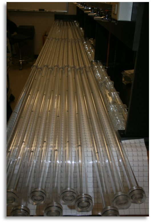 Timescales of extinction over a patch size gradient