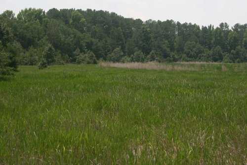 Coexistence in seasonal environments