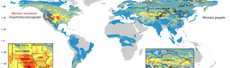 Rodent reservoirs of future zoonotic diseases