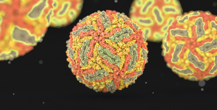 Data-driven identification of potential Zika virus vectors