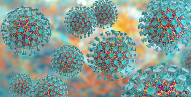 Transmissibility of emerging viral zoonoses