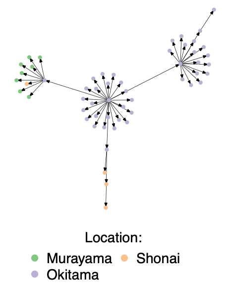 Measles transmission tree 