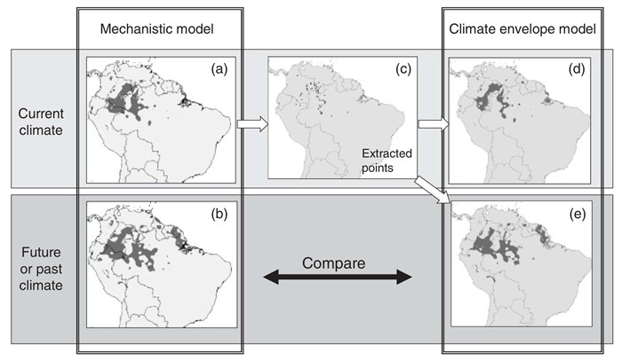 The ability of climate envelope models to predict the effect of climate change on species distributions