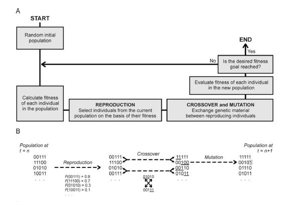 GeneticAlgorithms